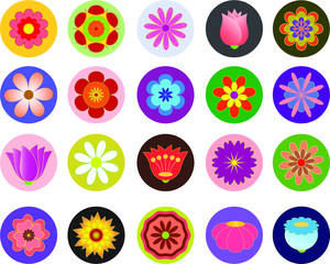 Isolated Flower Vectors on Color Background 