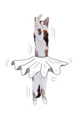 chat sautant avec dessin humoristique de tutu de danse classique et pointes