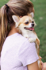 A small dog sits on the girl’s shoulder and puts his paws on his shoulder.  Girl with long blonde hair holds on the shoulder of a small chihuahua