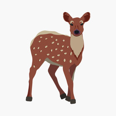 A beautiful spotted deer Bambi walks through the forest and enjoys the sun