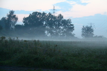 misty morning in the field