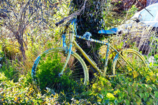 Yellow Bike To Support The Tour De Yorkshire