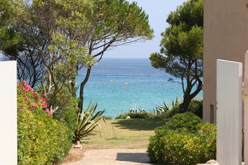 garden and sea