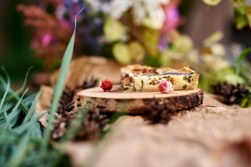 Sectional Vegetable Quiche, Homemade Cheesy Egg Quiche for Brunch with Spinach and Tomato