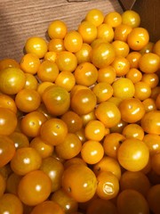 Ripe yellow cherry tomatoes on the market