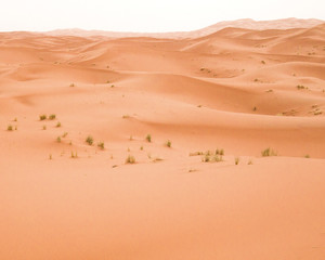Desierto de Marruecos