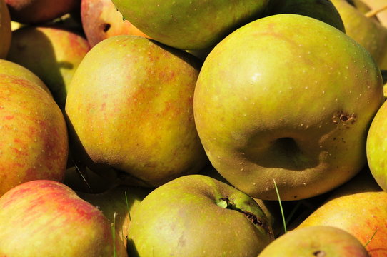 healthy vitamins in green juicy apples