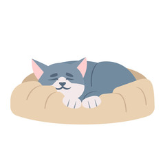 Cute sleeping cat semi flat RGB color vector illustration