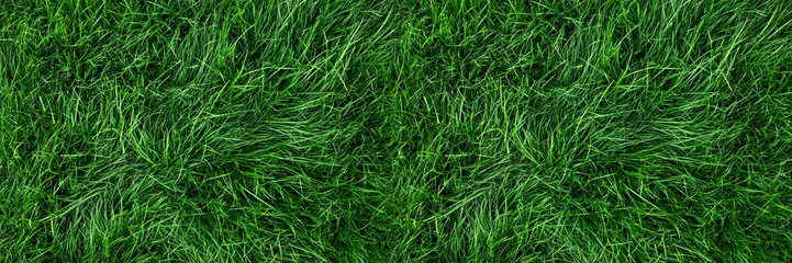 Acrylic prints Grass Natural green grass background, fresh lawn top view