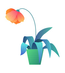 Beautiful flower in pot. Orange potted flower with leaves icon isolated on white background. Colorful spring flower vector illustration in cartoon style. Home botany and gardening symbol.