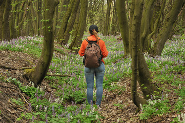 Naklejka na ściany i meble woman in the forest a tourist walks in a spring flowering forest