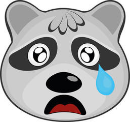 Vector illustration of the face of a raccoon cartoon, with its sad eyes