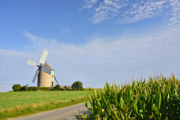 Moulin et champs de ma&iuml;s &agrave;-Moidrey (50170 Pontorson), d&eacute;partement-de-la-Manche-en-r&eacute;gion-Normandie-France