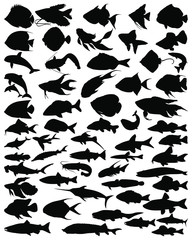 Obraz na płótnie Canvas Collection silhouettes of fish. Fish silhouettes. Set of fish. Bundle fish. Fish silhouettes. Vector illustration.