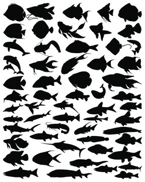 Collection silhouettes of fish. Fish silhouettes. Set of fish. Bundle fish. Fish silhouettes. Vector illustration.