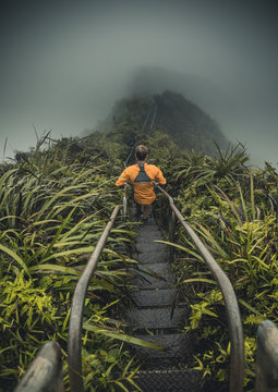 Woman Walking On Stairway To Heaven A Tropical Jungle Hike In Hawaii