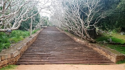 Escalier g&eacute;ant