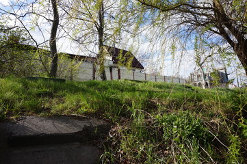 View of the village house through the drooping willow branches.
