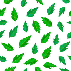seamless green tomato leaves pattern isolated on white. Green leaves endless background. illustration of a plants foliage in realistic style. backdrop for eco, country, summer fresh design.