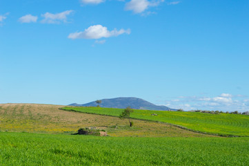 Fototapeta na wymiar landscape with green field and sky with clouds in Guadamur, province of Toledo. Castilla-La Mancha. Spain