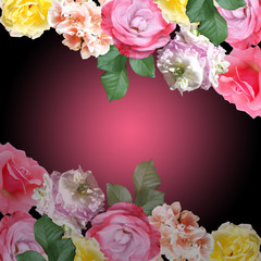 Beautiful floral background of roses and pelargoniums. Isolated