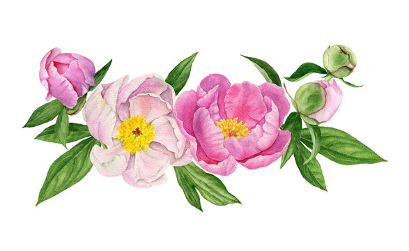 Watercolor bouquet of peony flowers, buds, leaves. Floral arrangement for cards.