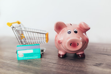 Shopping and save money concept. Shopping cart, credit card and piggy bank.