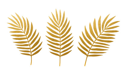 Beautiful Golden Palm Leaves - Vector Silhouette