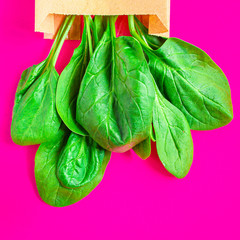 spinach petals, fresh green vegetables grass microgreen Menu concept, food background, keto or...