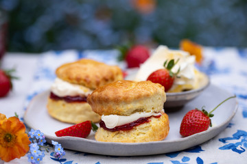 Freshly baked home made scones with strawbery jam and clotted cream