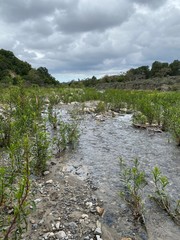 Stream on Cloudy Day