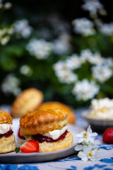 Freshly baked home made scones with strawbery jam and clotted cream