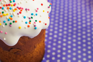 One Easter cake on a purple background close-up. Kulich is shifted to one side of the frame.