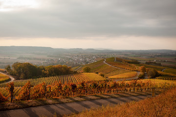 Fototapeta na wymiar Herbstliche Weinberge in Hohenlohe