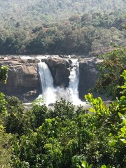 waterfall in the forest