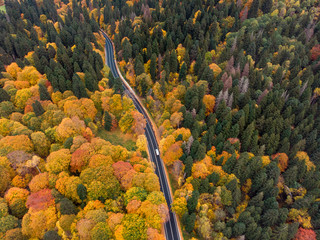 
mountain road in the autumn forest