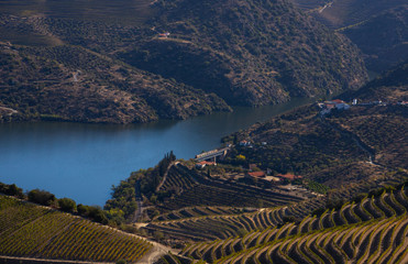 Beautiful Alto Douro vineyards landscape - UNESCO World Heritage. In a distance it is possible to see a train crossing a bridge