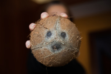 Coconut with funny human appearance