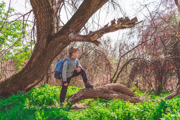 Naklejka na ściany i meble Solo traveller - young boy hiker in spring forest, stay on green grass and looking thoughtfully into the distance