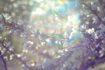 abstract background with water drops