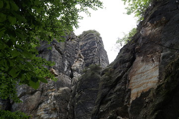 Bastei Rocks overgrown with moss and trees