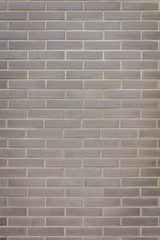 Urban brick wall with details