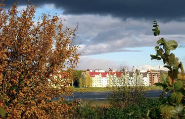 autumn landscape with trees