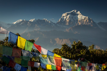 Bhuddism flags with Dhaulagiri peak in background at sunset in Himalaya Mountain, Nepal.