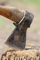 ax in stump