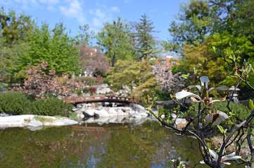 Setagaya Park in spring Vienna Austria