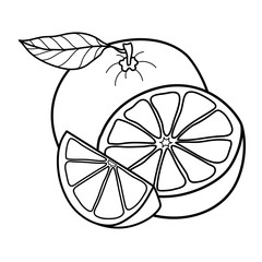 Linear drawing orange isolated on white background. Sketch for coloring booking page. Vector illustration