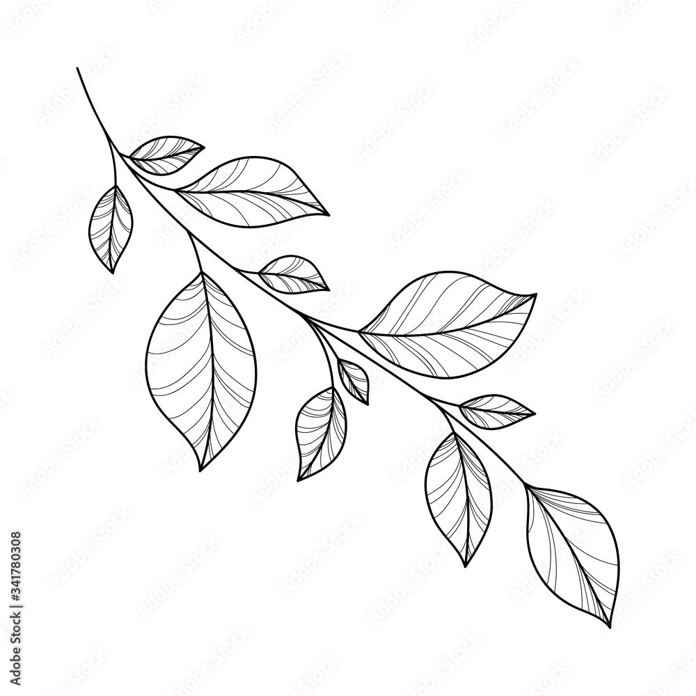 Wall mural Hand drawing branch for greeting card, invitation, Henna drawing and tattoo template. Vector illustration