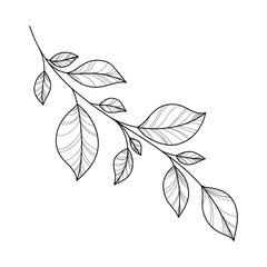 Hand drawing branch for greeting card, invitation, Henna drawing and tattoo template. Vector illustration