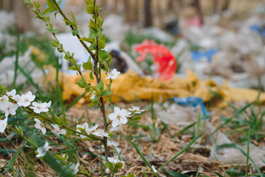 Ecological Pollution Of Nature. Plastic Bag Tangled In Plants Against The Backdrop Of The Mountains. Global Environmental Pollution. Recycling, Clearing The Land From Plastic Debris.